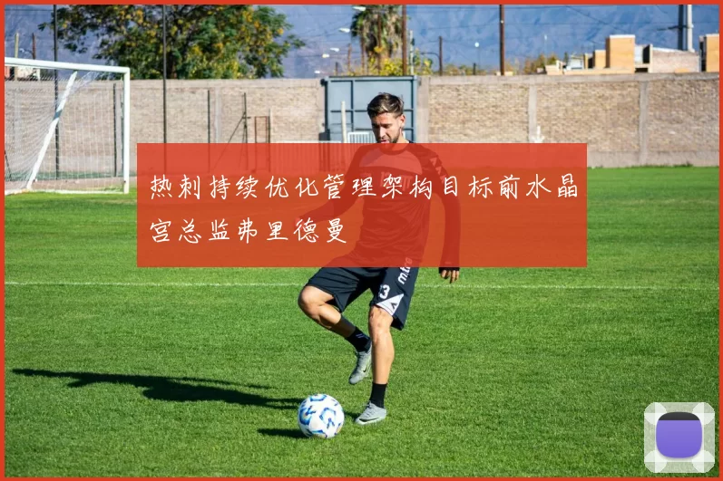 热刺持续优化管理架构目标前水晶宫总监弗里德曼