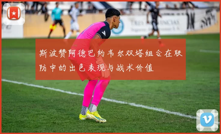 斯波赞阿德巴约韦尔双塔组合在联防中的出色表现与战术价值
